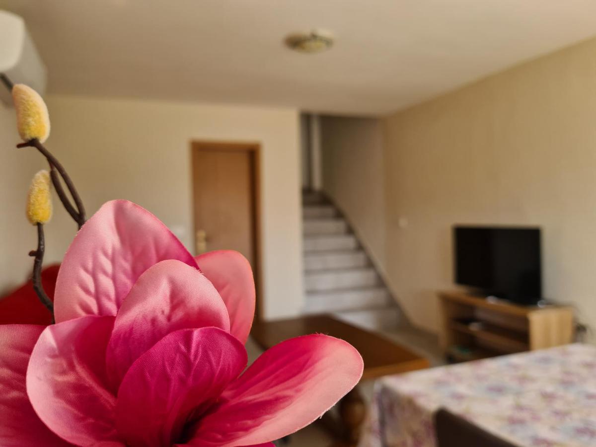 شقة Apartman Senka Rogotin المظهر الخارجي الصورة